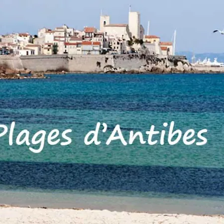 Moderne F1 Situation Ideal Antibes